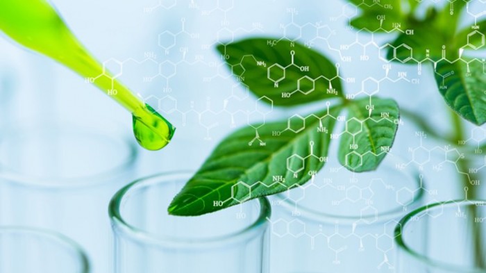 10 curiosidades sobre la Biotecnología