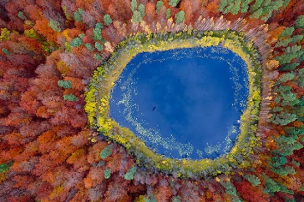 Top 10 mejores fotos del año, según National Geographic